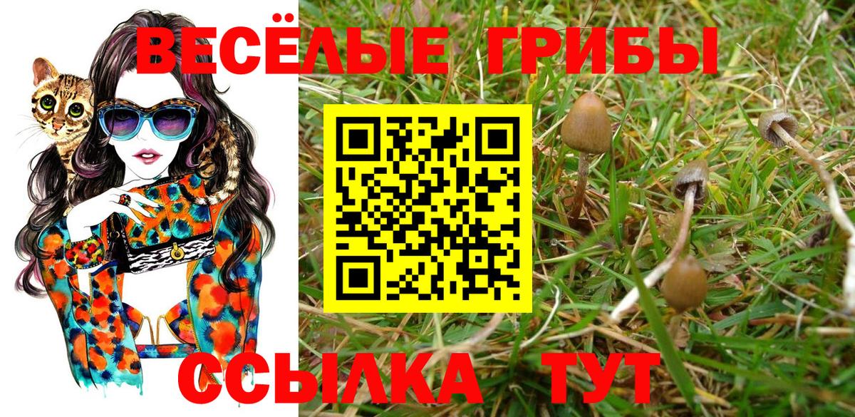Галлюциногенные грибы мицелий  Галлюциногенные грибы GOLDEN TEACHER  Киселёвск  Вход с VPN 